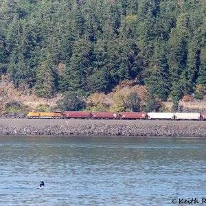 Westbound BNSF Grain Train