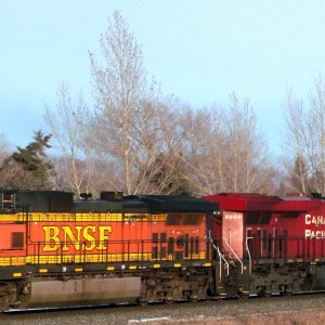 CP N43 10-3-20