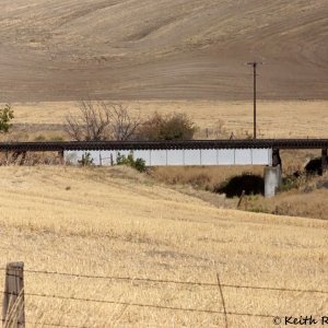 Abandoned UP RR Bridge