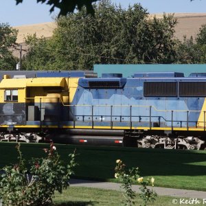 CWW 2807 (GP49)