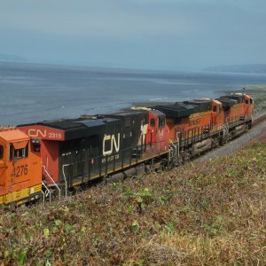 CN guest on BNSF 7-8-24