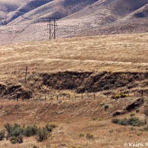 Abandoned NP/BN Pendleton Branch