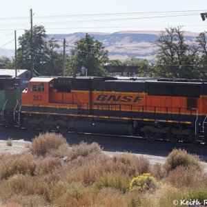 BNSF 263 (SD75M)