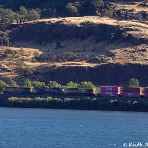 Eastbound UP Stack Train