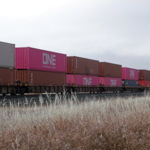 CN 116 10-11-23