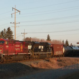 CP 517 23-3-19