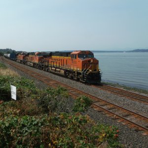 BNSF GEVO variety