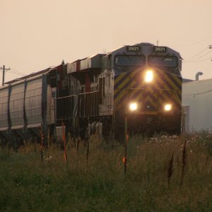 CN Warman sub grain 23-8-24