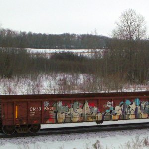 CN 136829 gondola