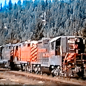 vlcsnap-1397-05-14-11h57m31s587_edited.png