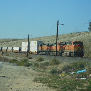 Bena CA 2024