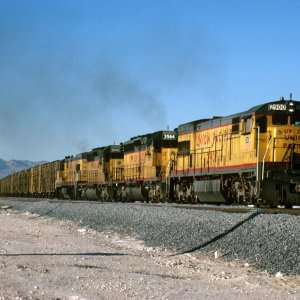 Las Vegas NV