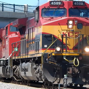Northtown Yard 2024