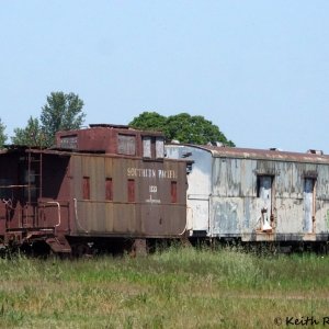 SP 1133