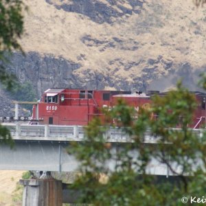 Westbound Grain