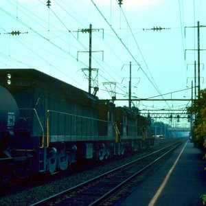 02 03 201`3 333_edited_edited_edited.jpg