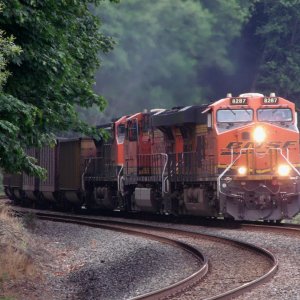 Carkeek park coal 8-8-23