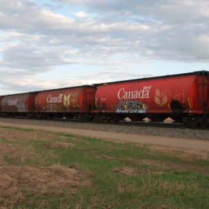 CN Grain 10-5-23