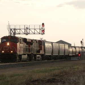 CN Grain 10-5-23