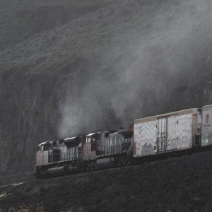 CN 8864 and 2501.jpg
