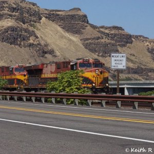 CPKC Eastbound Empty Grain