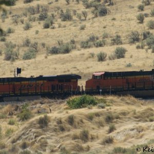 Southbound Manifest
