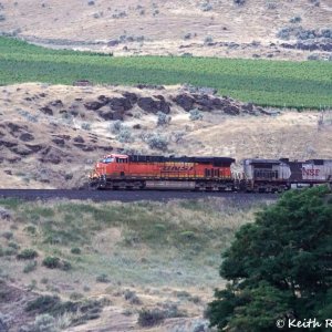 Southbound Manifest