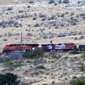 Southbound Manifest