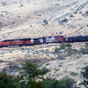 Southbound Manifest