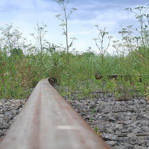 Abandon CN line