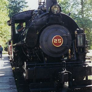 Cowichan Valley Railway No.25