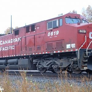 CP 8619