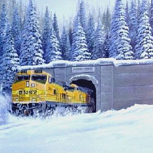 Winter Cascade Tunnel
