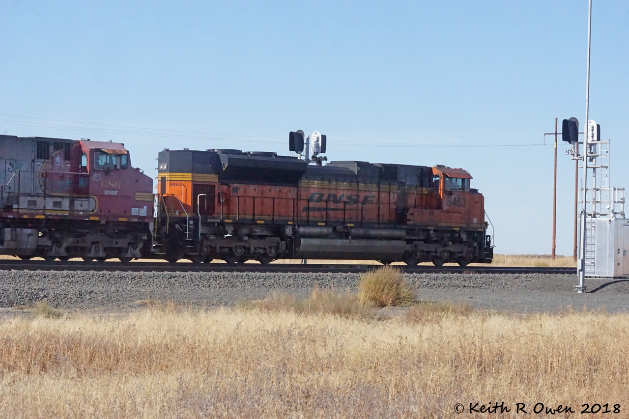 46 BNSF8463EastIntermodalTokio09-28-18.jpg