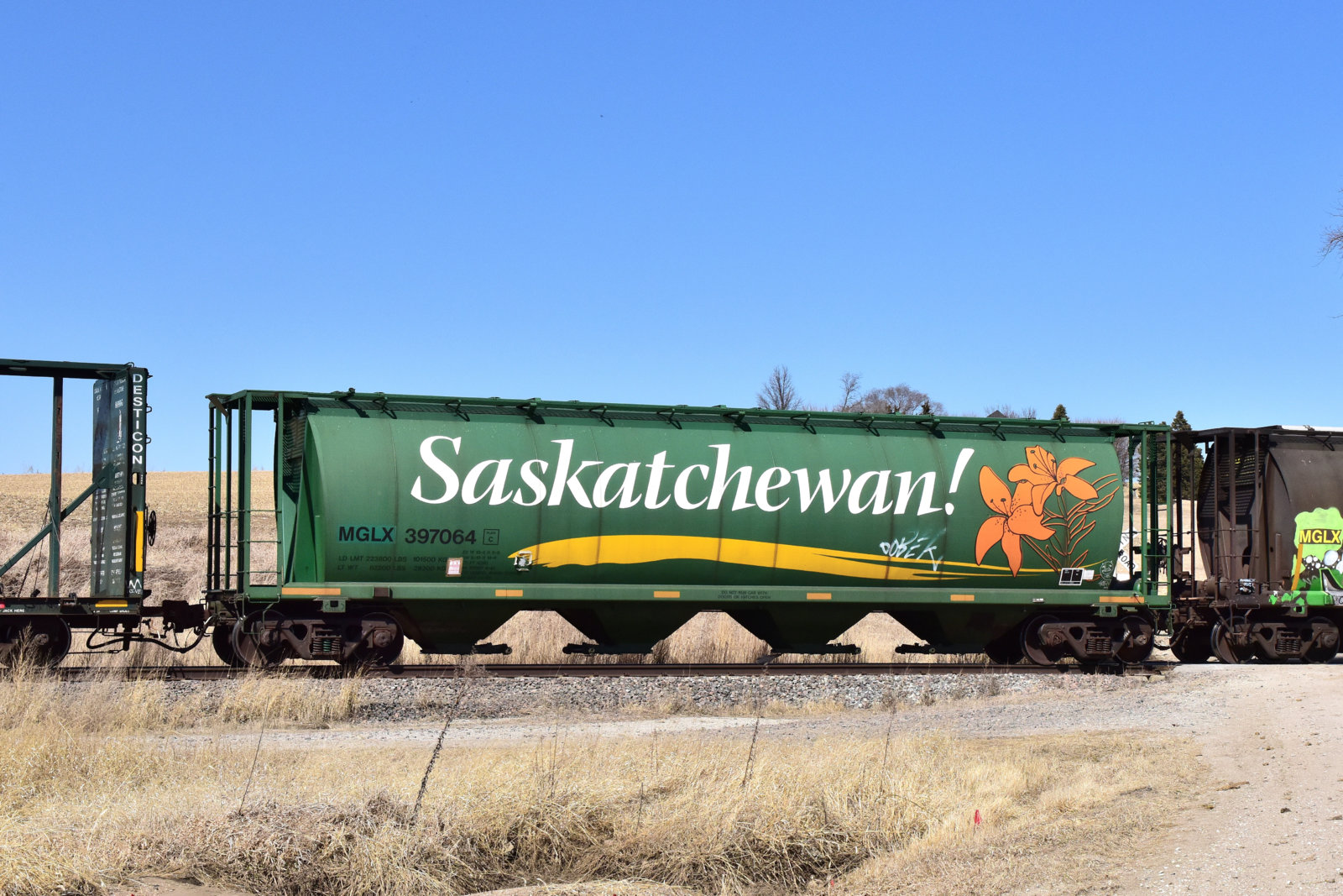 Saskatchewan Hopper_030420.JPG