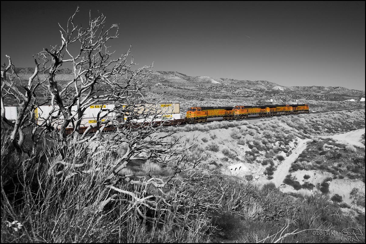 Brunt Bush and Train Heading up Track 2, Selective Color