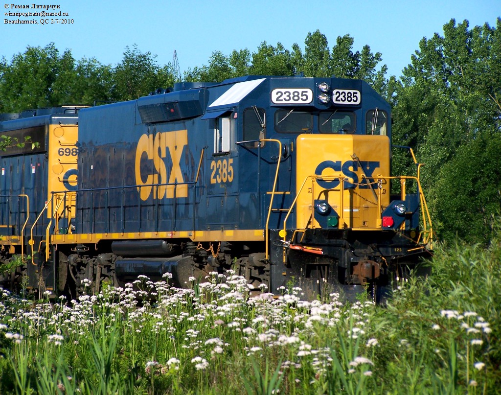 CSX in bloom