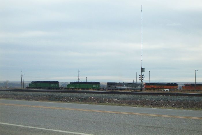 LMX Dash 8-39B along with BNSF (patched BN) SD40-2's