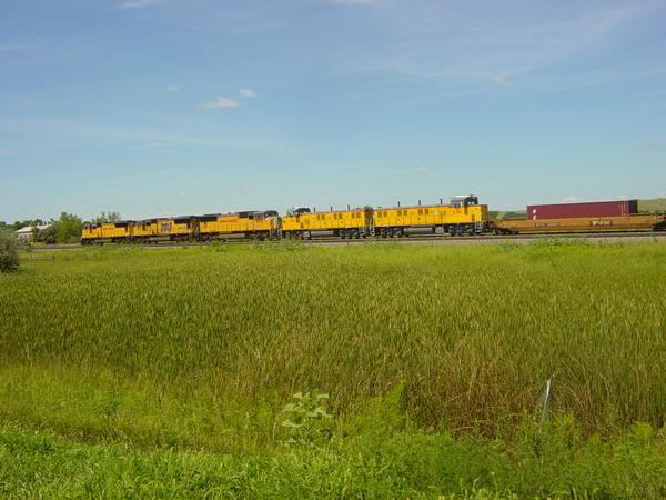 New units headed west on a stack train