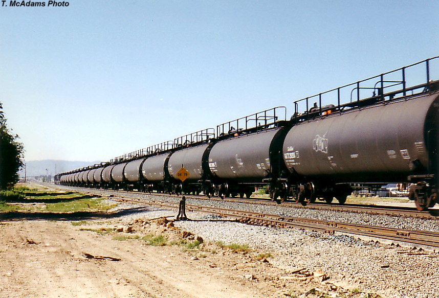 SP BKDOU (Oil Cans)