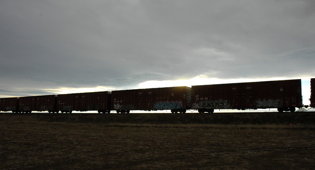 Sunset on UP Boxcars