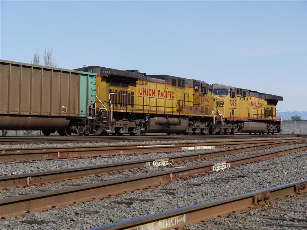 UP coal train on BNSF.