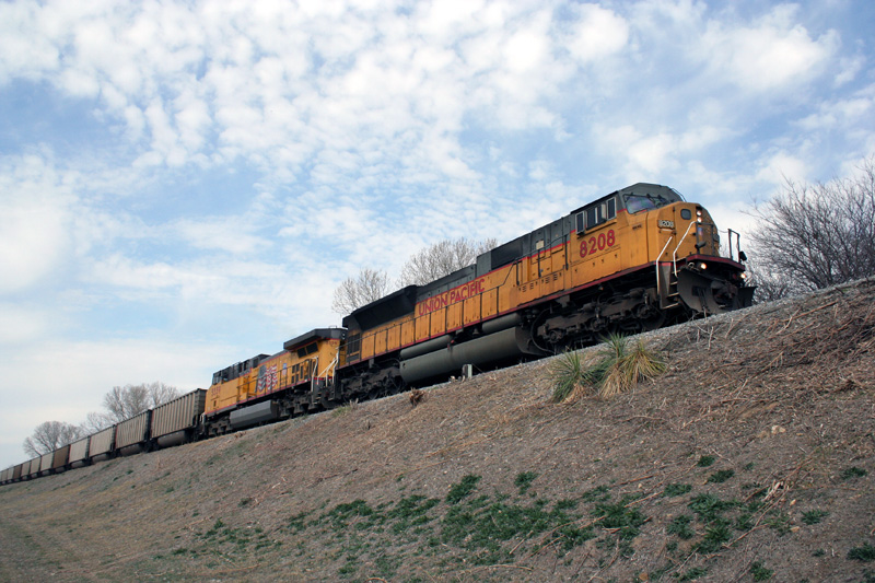 UP Coal Train