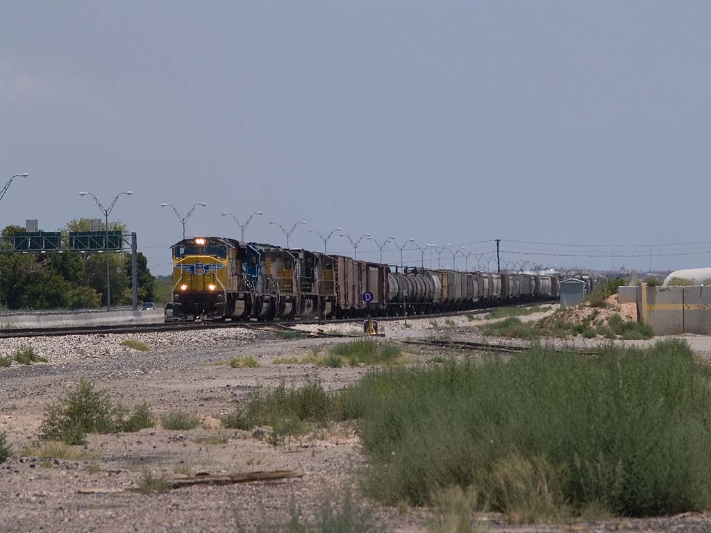 UP3794 leads a WB manifest