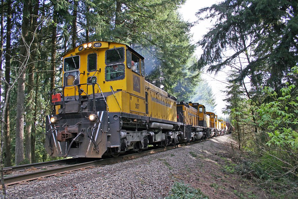 Weyerhaeuser Woods Railroad