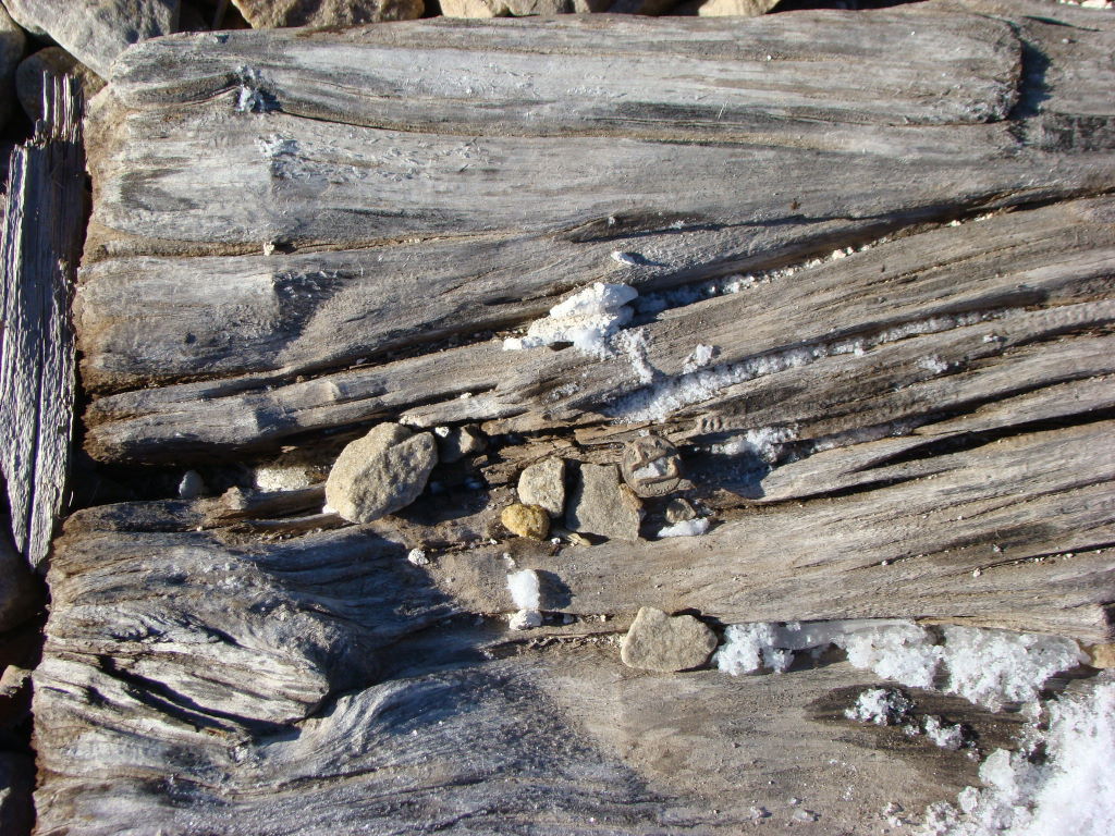 1947 DATE NAIL
