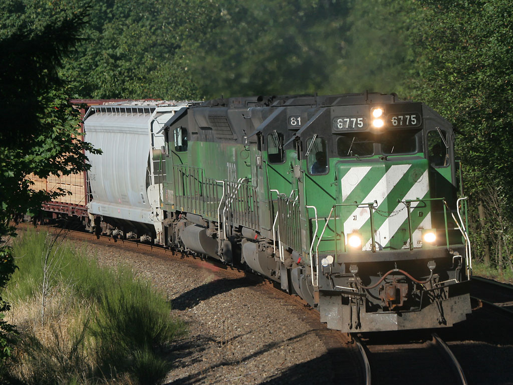 3 Green Weinies Hauling The Freight