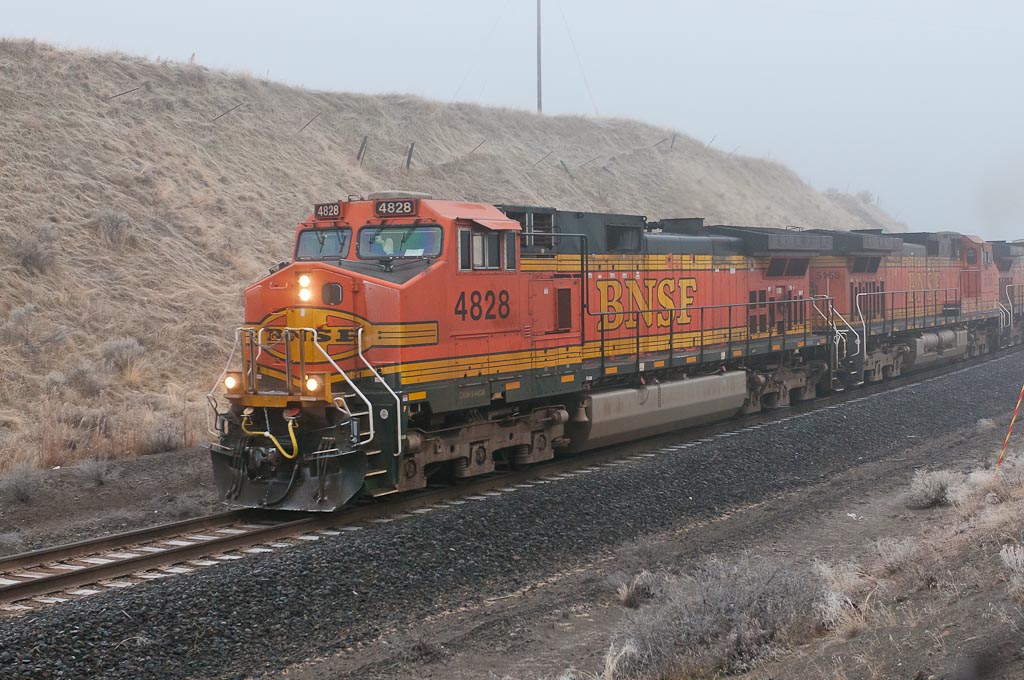 4828 in the Fog