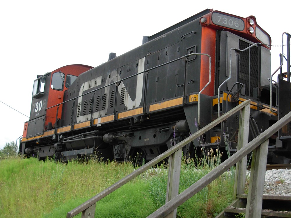 7306