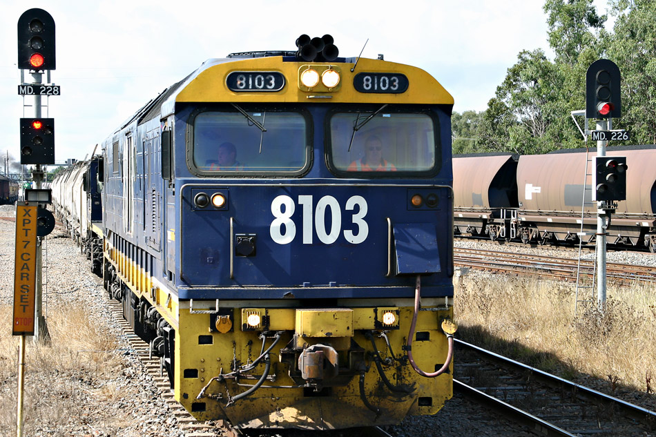 8103 Through Maitland